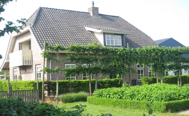 de-Lint-boerderij_00047